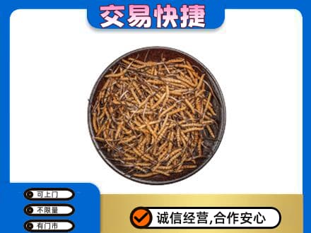临汾市乡宁高价回收散虫草